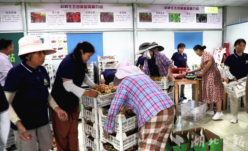 赌钱游戏可以提现金